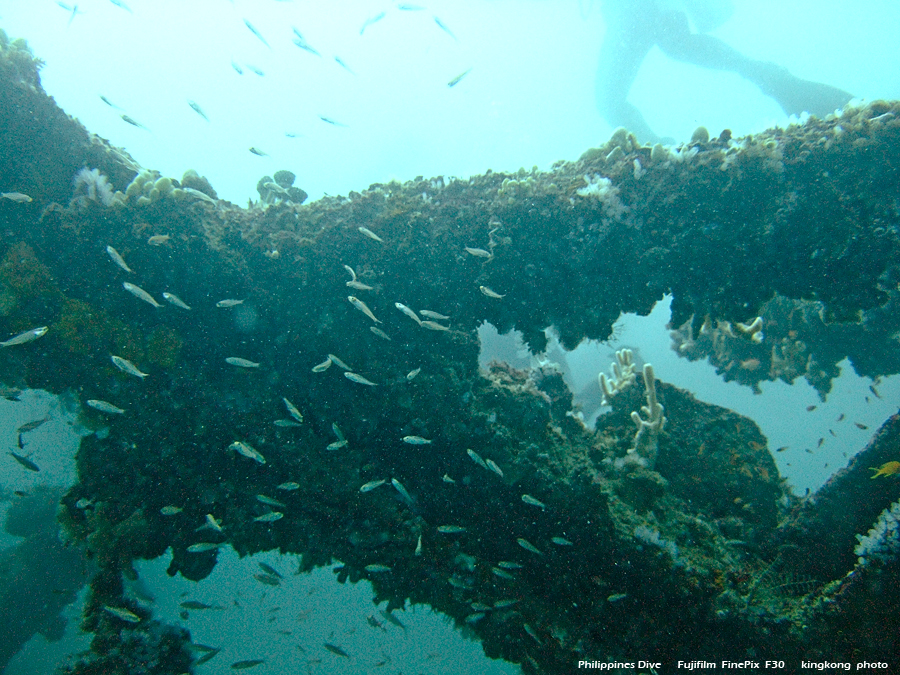 DSCF0093.JPG - Philippines Dive - Dari Laut Wreck