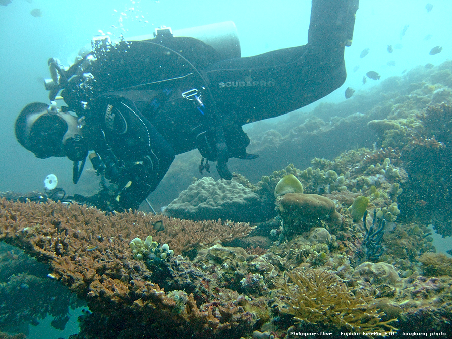 DSCF0105.JPG - Philippines Dive - Dari Laut Wreck