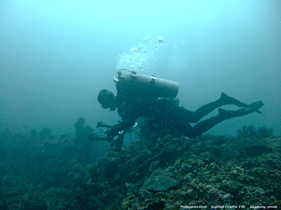 DSCF0168.JPG - Philippines Dive - Sombrero Island