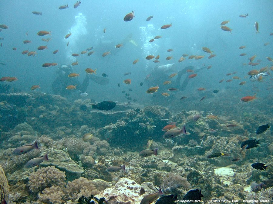 DSCF0183.JPG - Philippines Dive - Sombrero Island