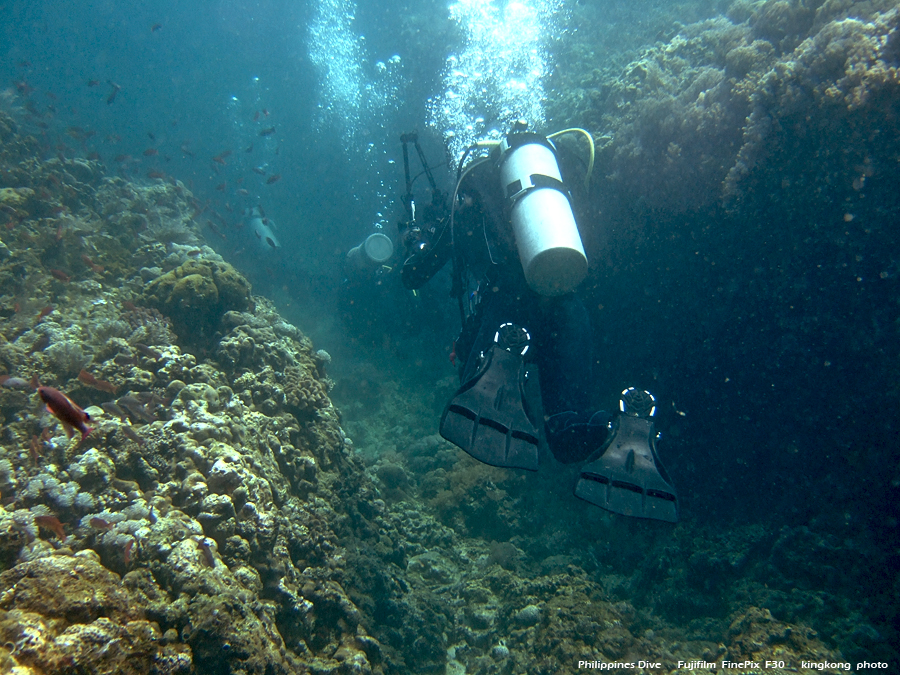 DSCF0228.JPG - Philippines Dive - Sombrero Island