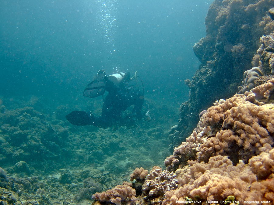 DSCF0234.JPG - Philippines Dive - Sombrero Island