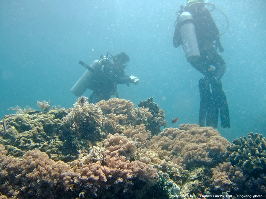 DSCF0236.JPG - Philippines Dive - Sombrero Island