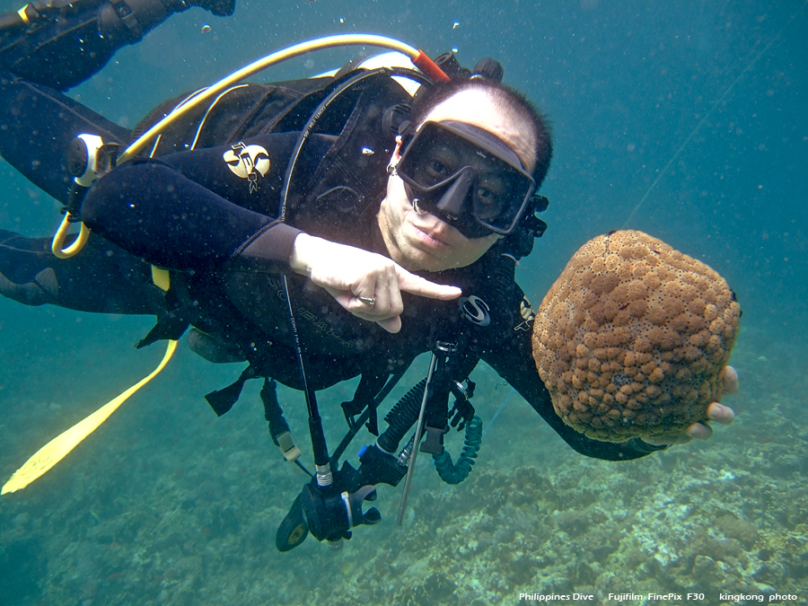 DSCF0240.JPG - Philippines Dive - Sombrero Island