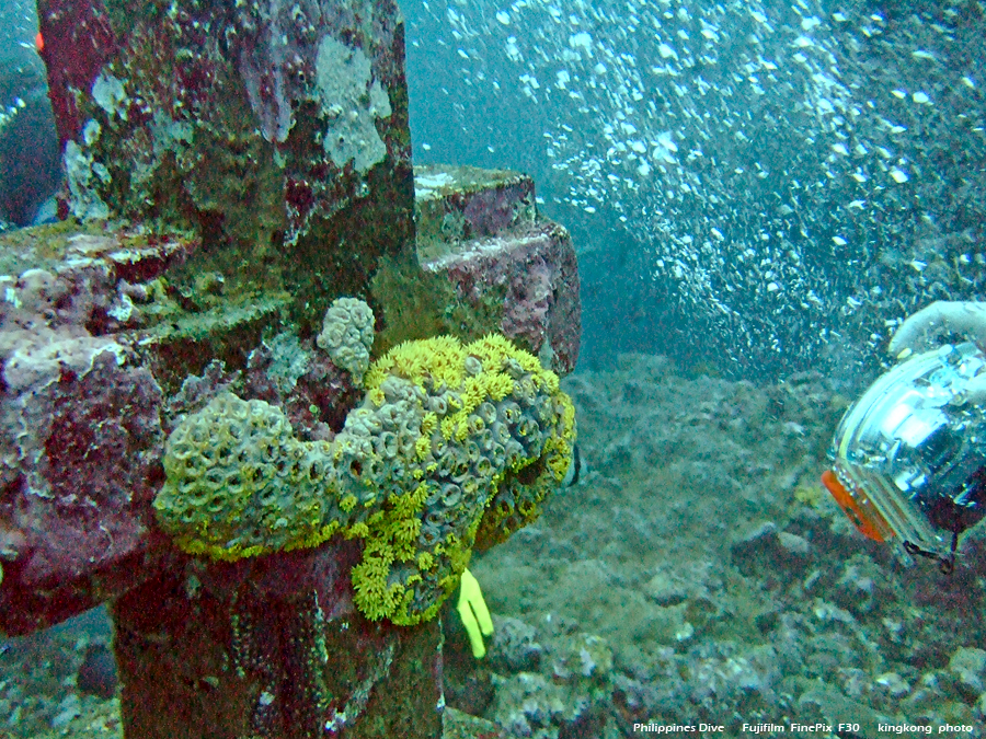 DSCF0262.JPG - Philippines Dive - Cathedral Rock