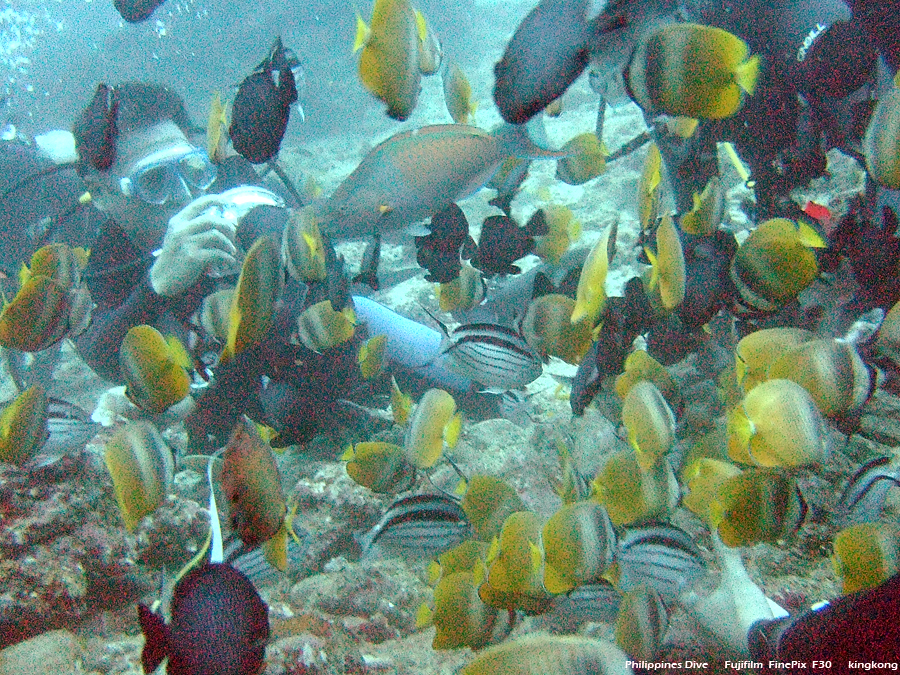 DSCF0265.JPG - Philippines Dive - Cathedral Rock