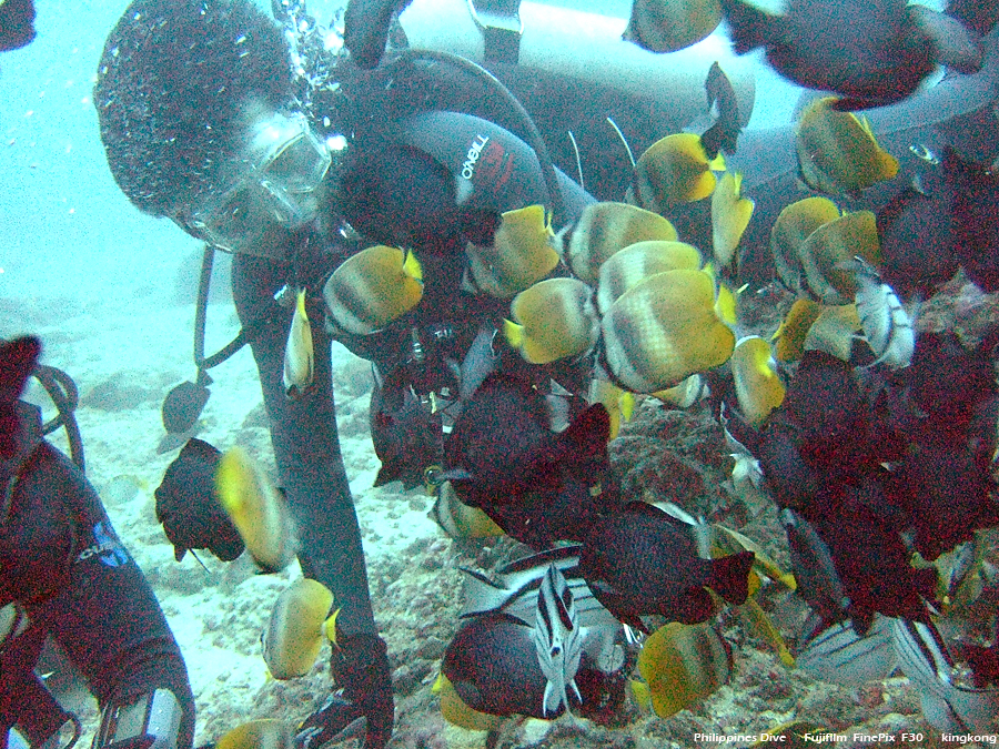 DSCF0271.JPG - Philippines Dive - Cathedral Rock