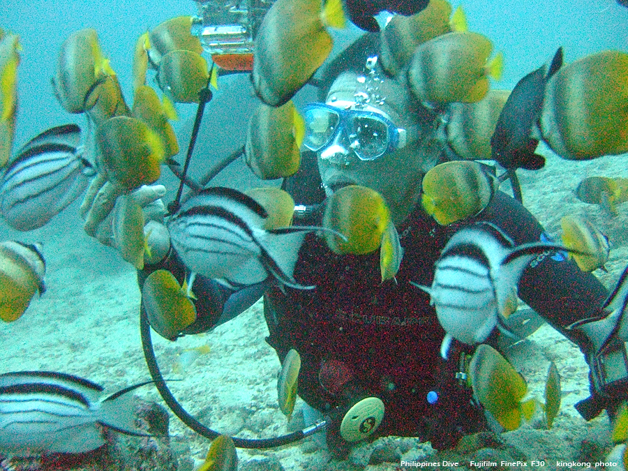 DSCF0273.JPG - Philippines Dive - Cathedral Rock