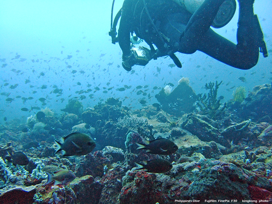 DSCF0593.JPG - Philippines Dive - San Agapito, Verde Island