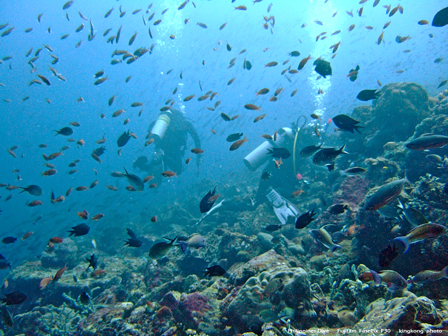 DSCF0607.JPG - Philippines Dive - San Agapito, Verde Island