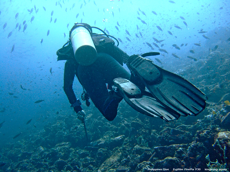 DSCF0609.JPG - Philippines Dive - San Agapito, Verde Island