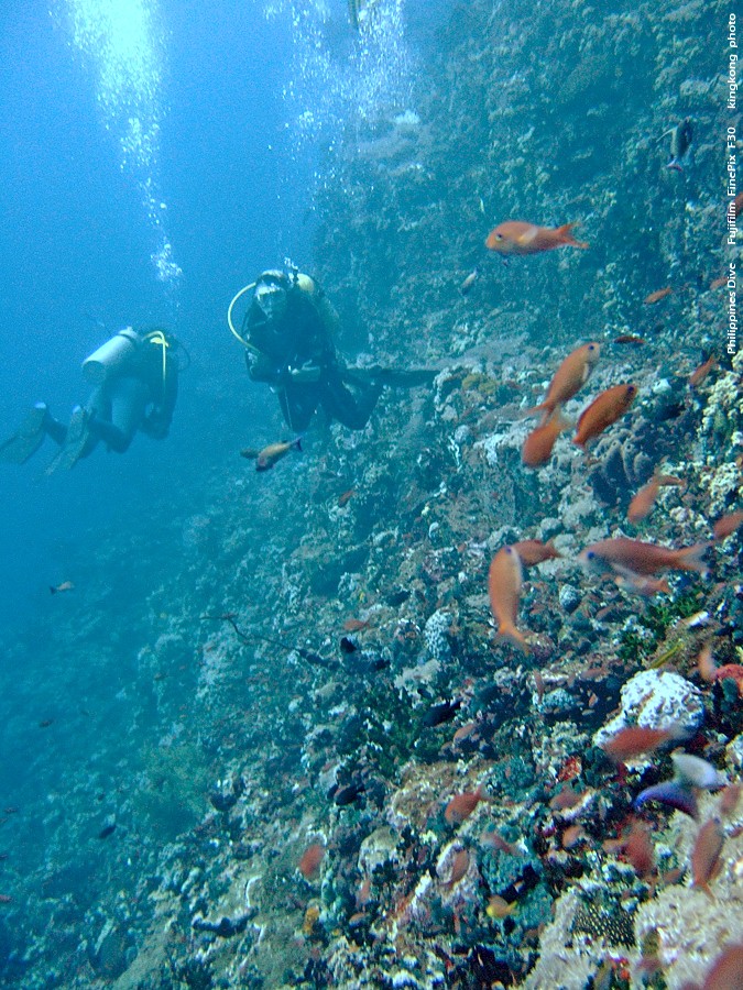 DSCF0626.JPG - Philippines Dive - San Agapito, Verde Island