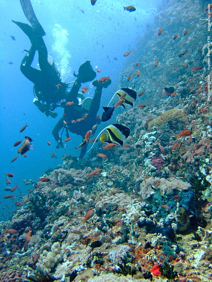 DSCF0630.JPG - Philippines Dive - San Agapito, Verde Island