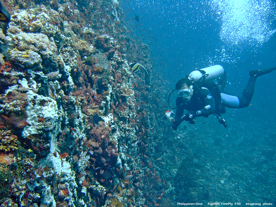 DSCF0631.JPG - Philippines Dive - San Agapito, Verde Island