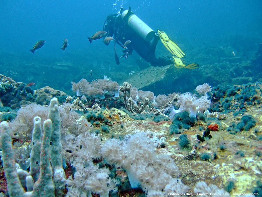 DSCF0674.JPG - Philippines Dive - San Agapito, Verde Island