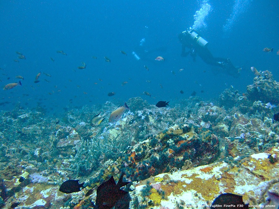 DSCF0675.JPG - Philippines Dive - San Agapito, Verde Island