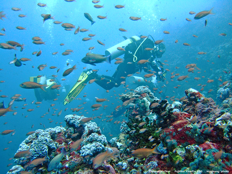 DSCF0696.JPG - Philippines Dive - San Agapito, Verde Island