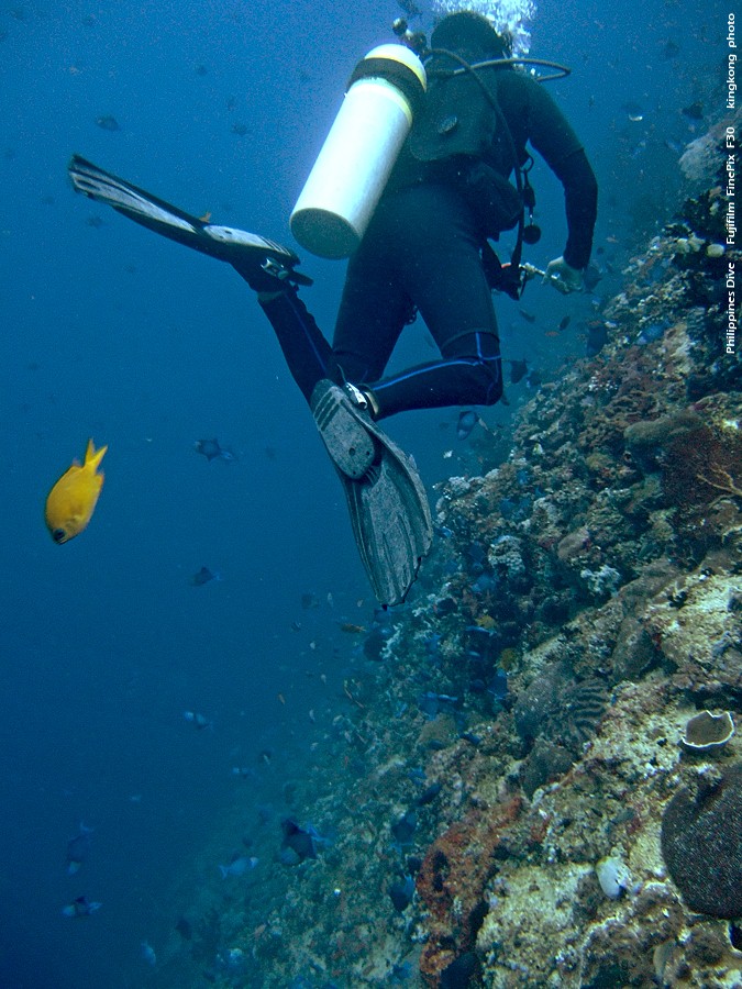 DSCF0706.JPG - Philippines Dive - San Agapito, Verde Island