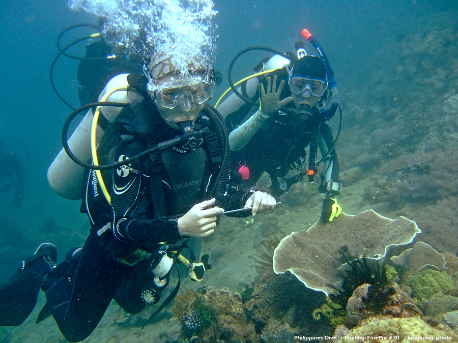 DSCF0829.JPG - Philippines Dive - Morning at Twinrock