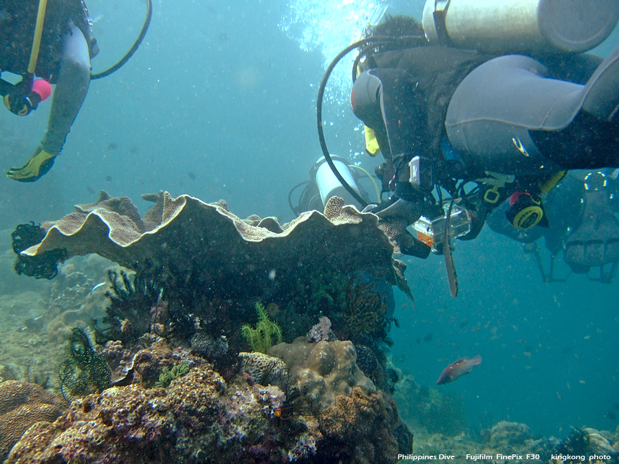 DSCF0831.JPG - Philippines Dive - Morning at Twinrock