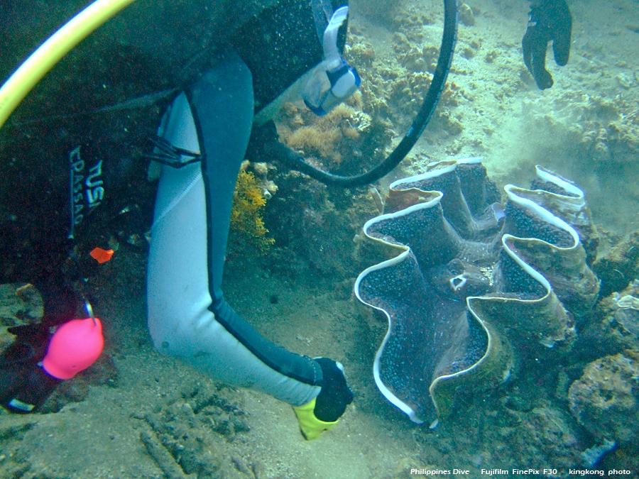 DSCF0832.JPG - Philippines Dive - Morning at Twinrock