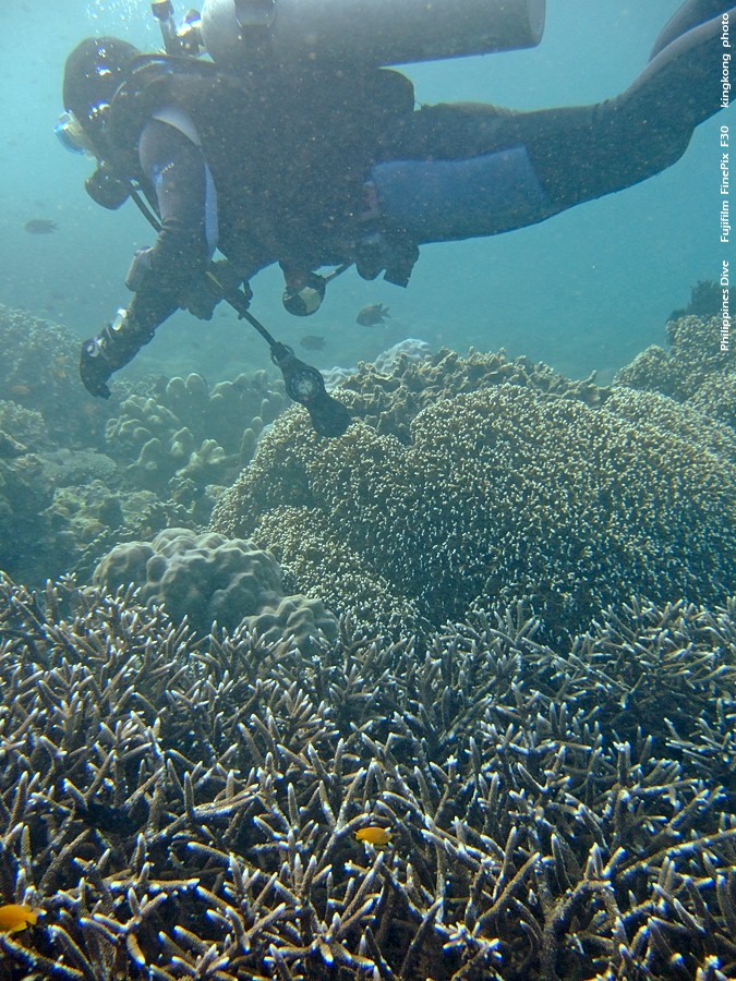 DSCF0840.JPG - Philippines Dive - Morning at Twinrock