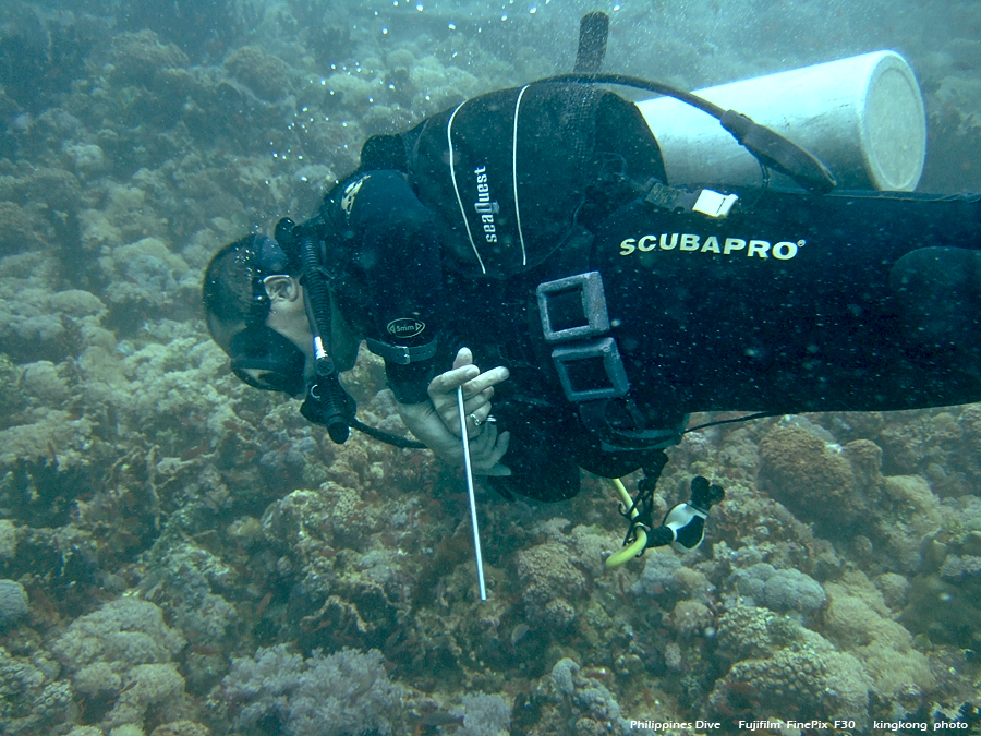 DSCF0853.JPG - Philippines Dive - Saddle Bajura