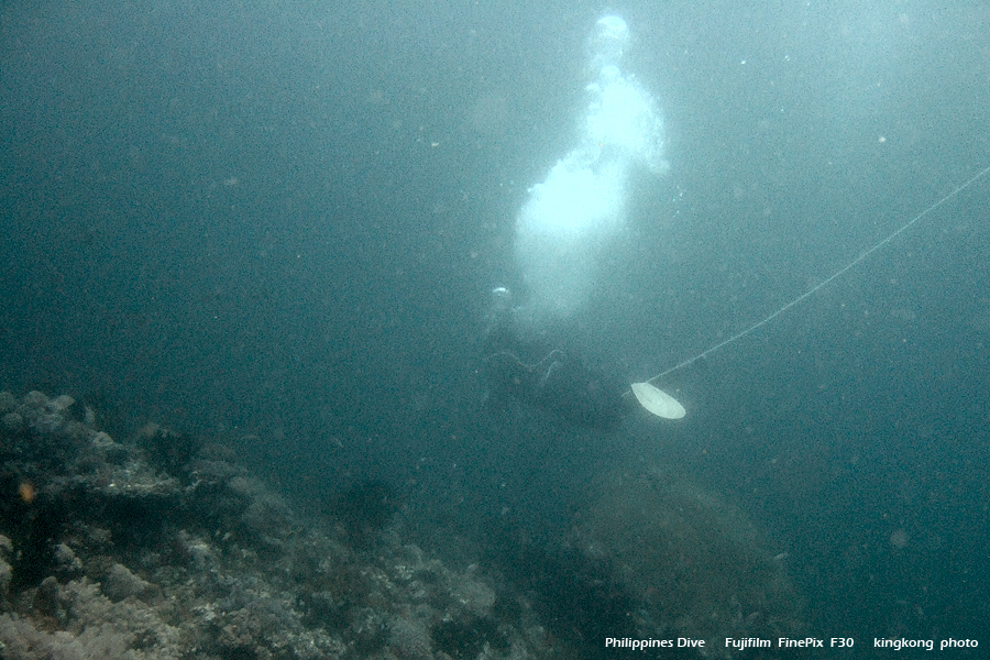 DSCF0855.JPG - Philippines Dive - Saddle Bajura