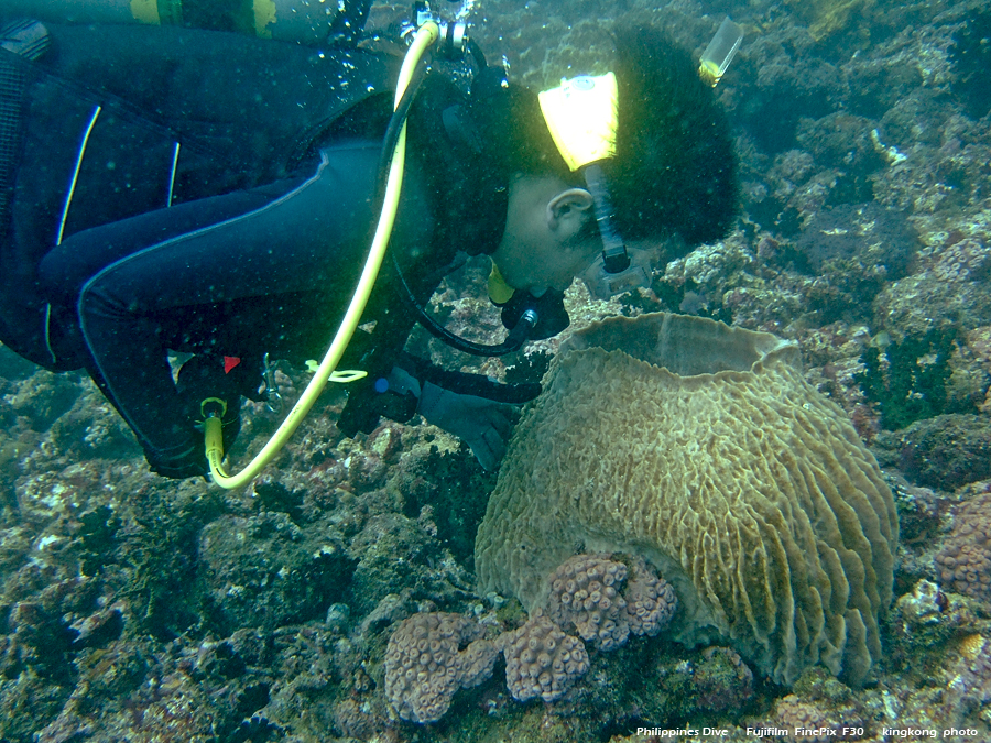 DSCF0860.JPG - Philippines Dive - Saddle Bajura